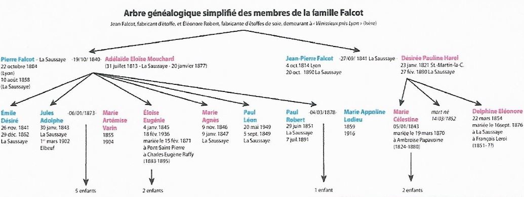 Image arbre genealogique simplifie